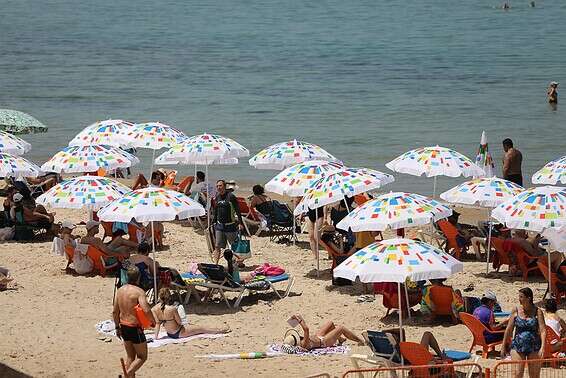 מתרחצים בחוף הים בתל אביב // צילום: יהושע יוסף